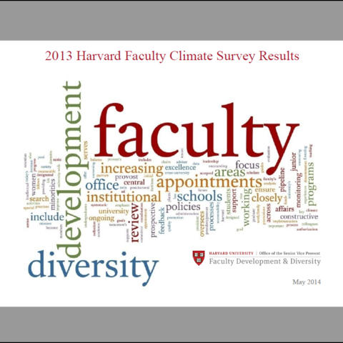 Cover page for the 2013 Faculty Climate Survey results, showing a wordcloud derived from the FD&D mission statement.