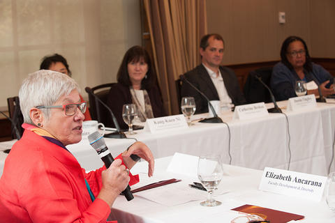 Senior Vice Provost Judith Singer addresses the NFI attendees seated around the room.