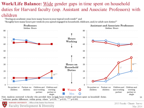 Wide gender gaps in household duties