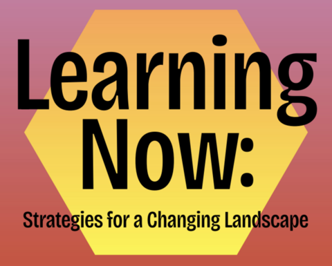HILT 2025 Visual. Learning Now. Strategies for a Changing Landscape.